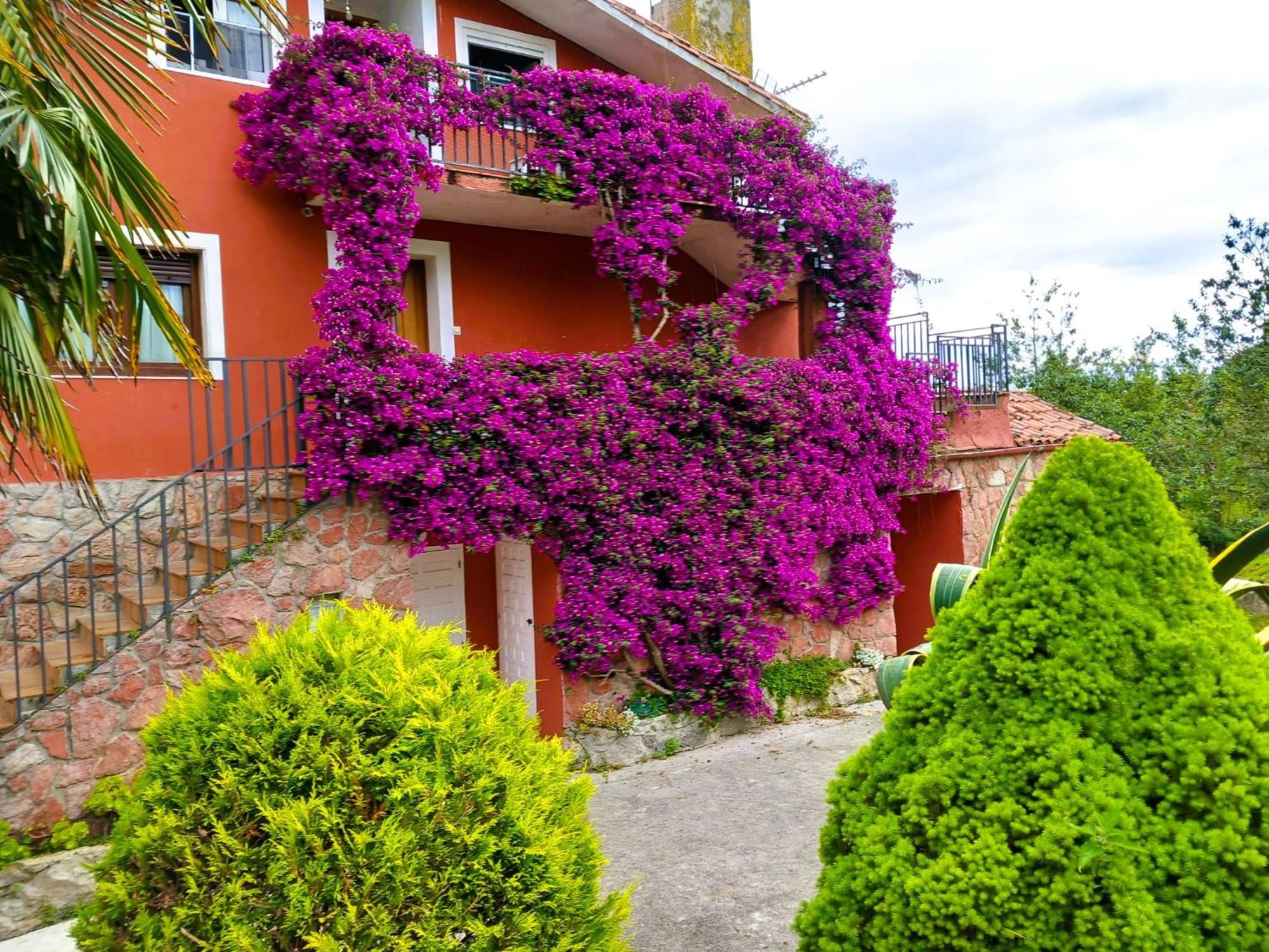 Apartamentos Mariaje Barro  Exteriör bild