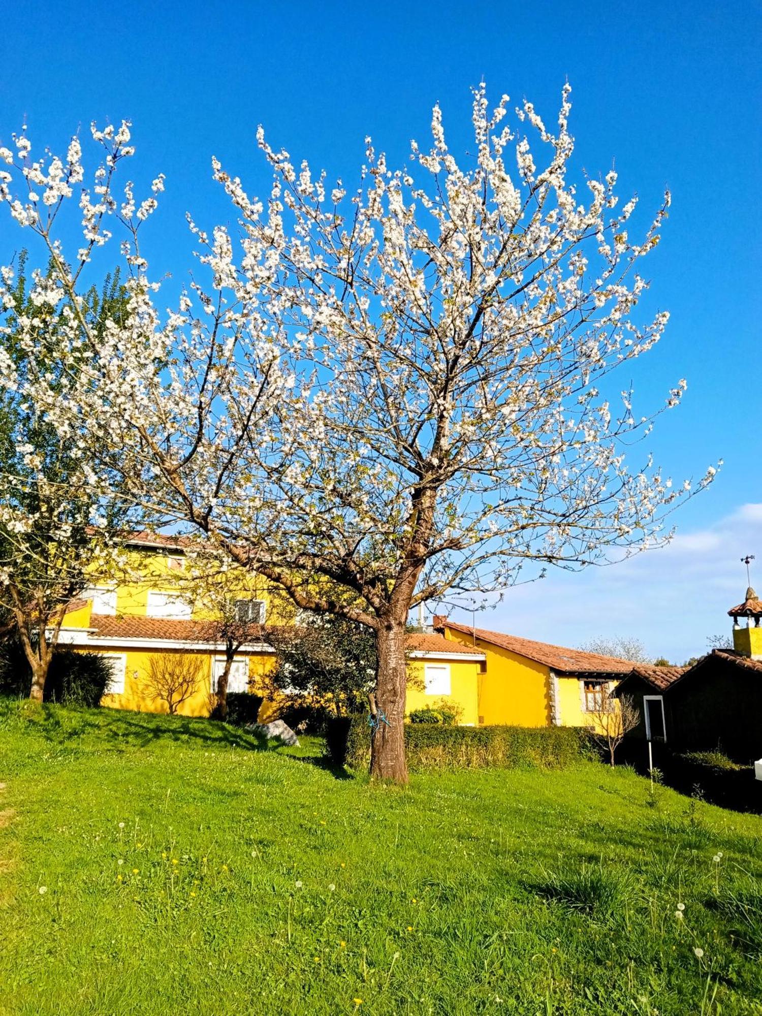 Apartamentos Mariaje Barro  Exteriör bild